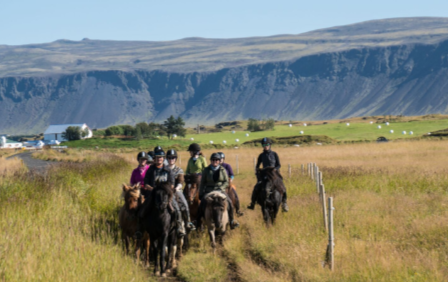 Iceland Horse Riding Tour 